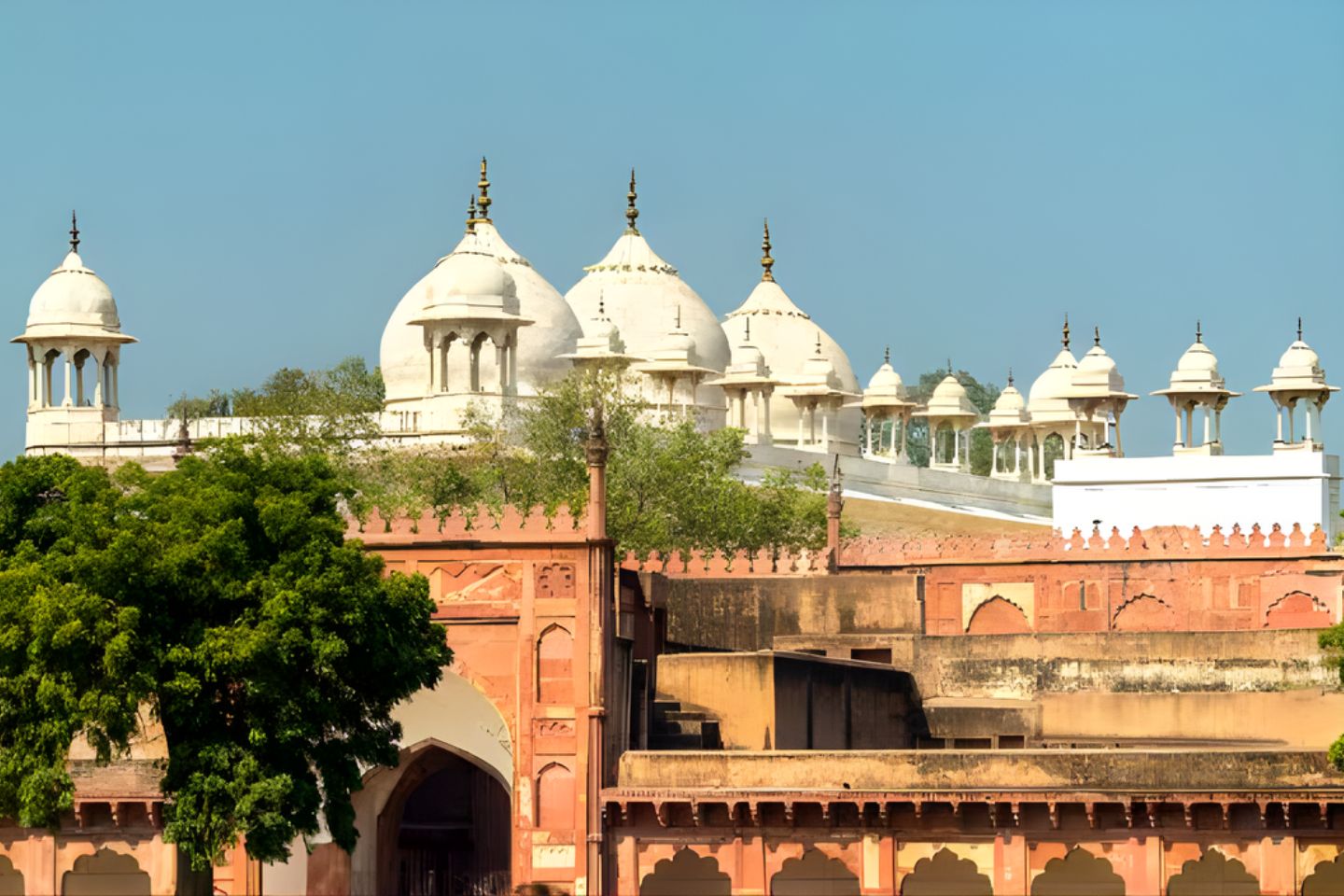 Moti Masjid Agra
